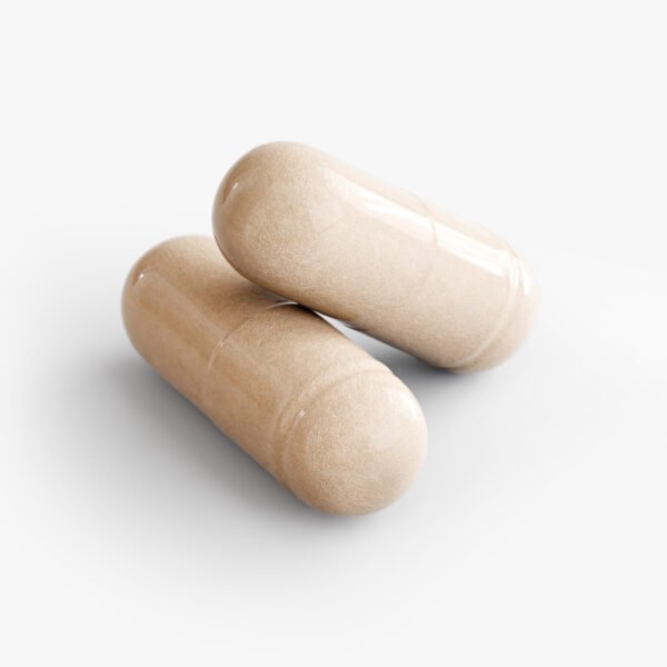 Ashwagandha – Stress & Wellness Support